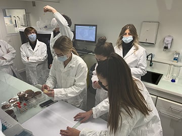 琼脂艺术培养皿制备